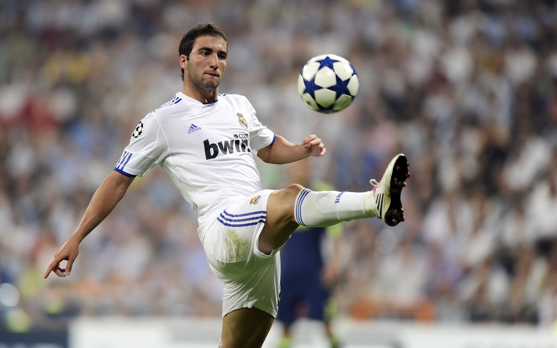 门迪铁幕降临，奥地利如何用窒息防守提前终结几内亚悬念